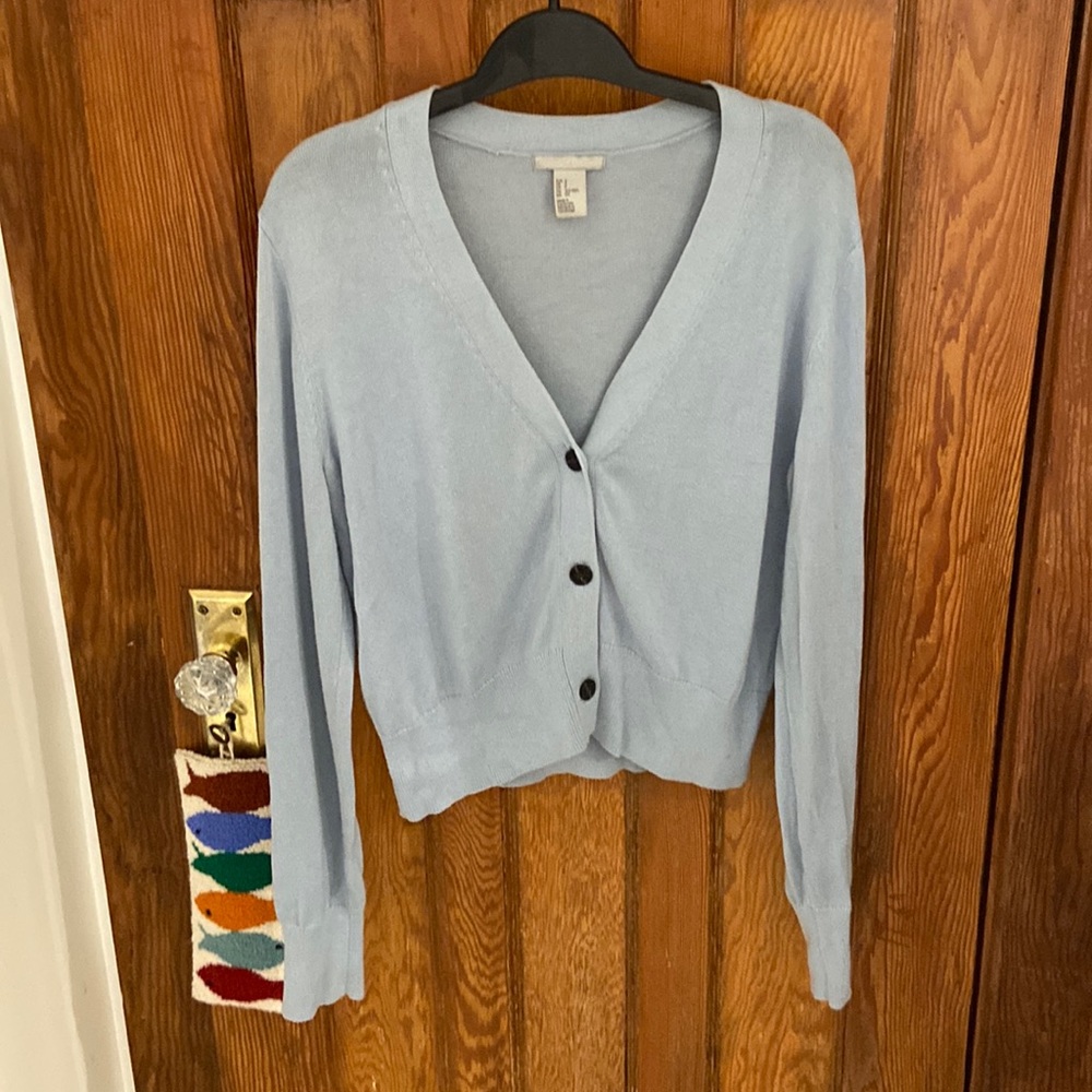 Blue cardigan